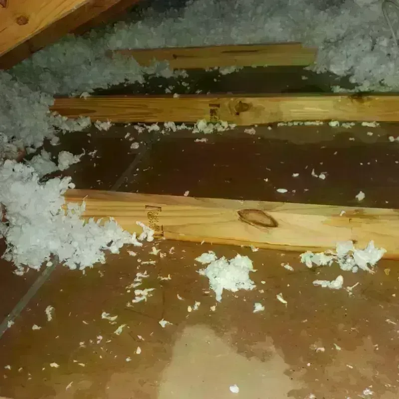 Attic Water Damage in Warren County, NC