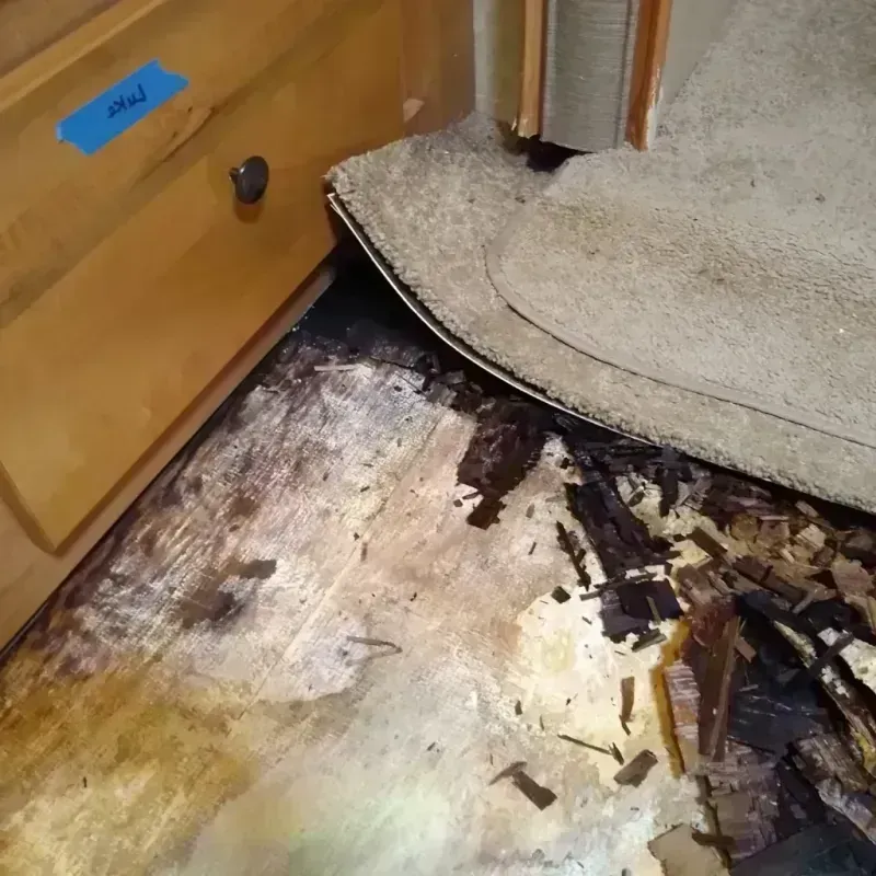 Wood Floor Water Damage in Warren County, NC